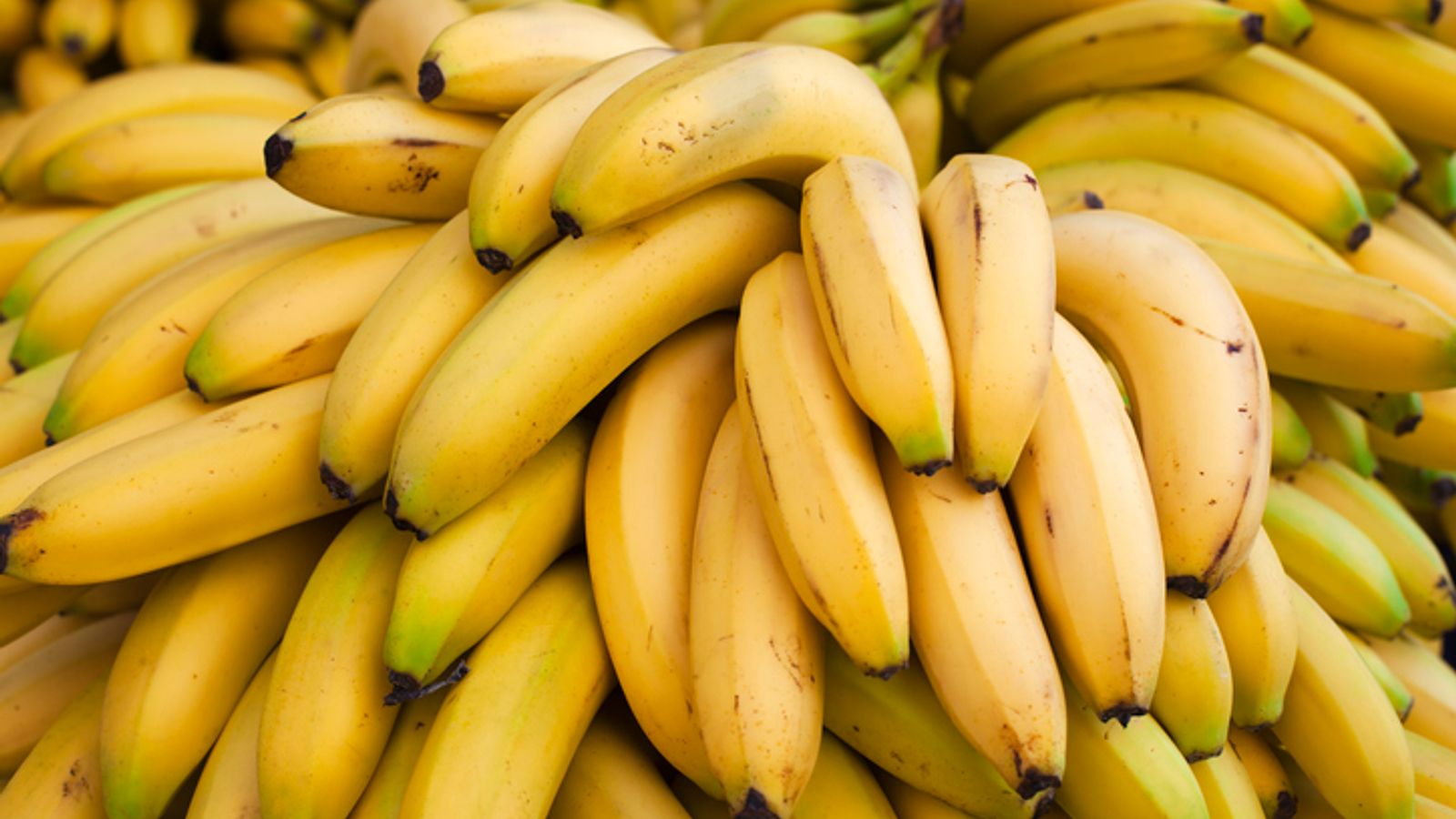 Swedish minister’s staff insist on banana-free rooms due to ‘weirdest phobia’ | World News